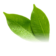 親油性潔淨因子